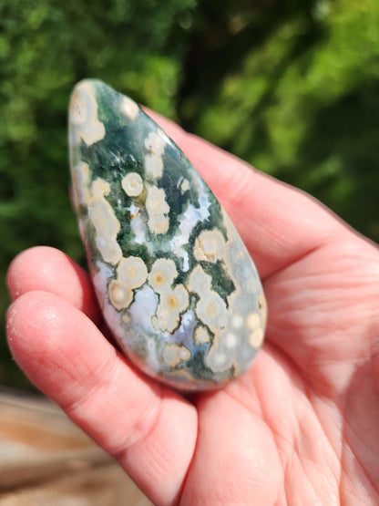 Orbicular Fossilized Coral Specimen, Ocean Jasper Polished Large Tumble Crystal