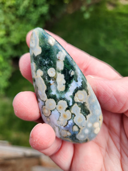 Orbicular Fossilized Coral Specimen, Ocean Jasper Polished Large Tumble Crystal