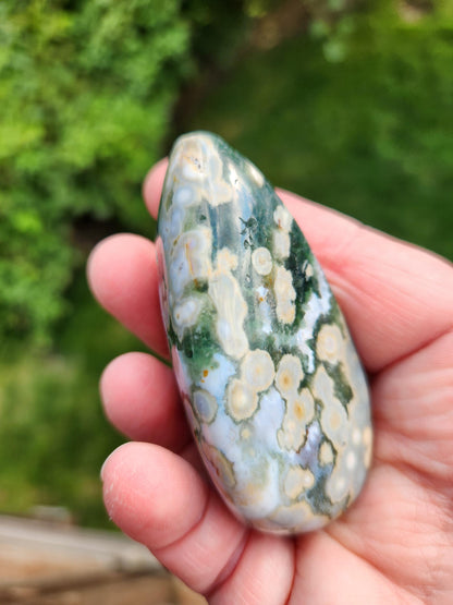 Orbicular Fossilized Coral Specimen, Ocean Jasper Polished Large Tumble Crystal