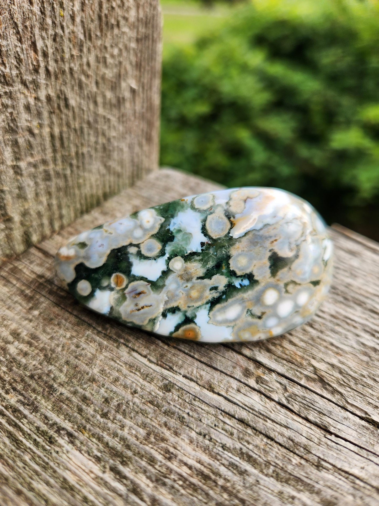Orbicular Fossilized Coral Specimen, Ocean Jasper Polished Large Tumble Crystal