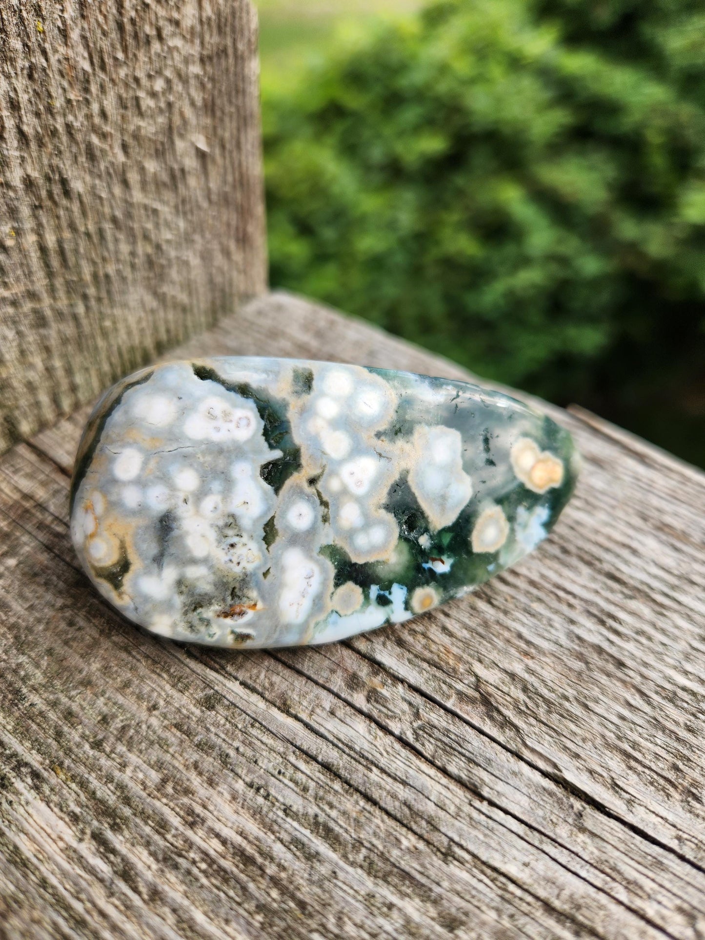 Orbicular Fossilized Coral Specimen, Ocean Jasper Polished Large Tumble Crystal