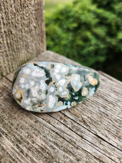 Orbicular Fossilized Coral Specimen, Ocean Jasper Polished Large Tumble Crystal