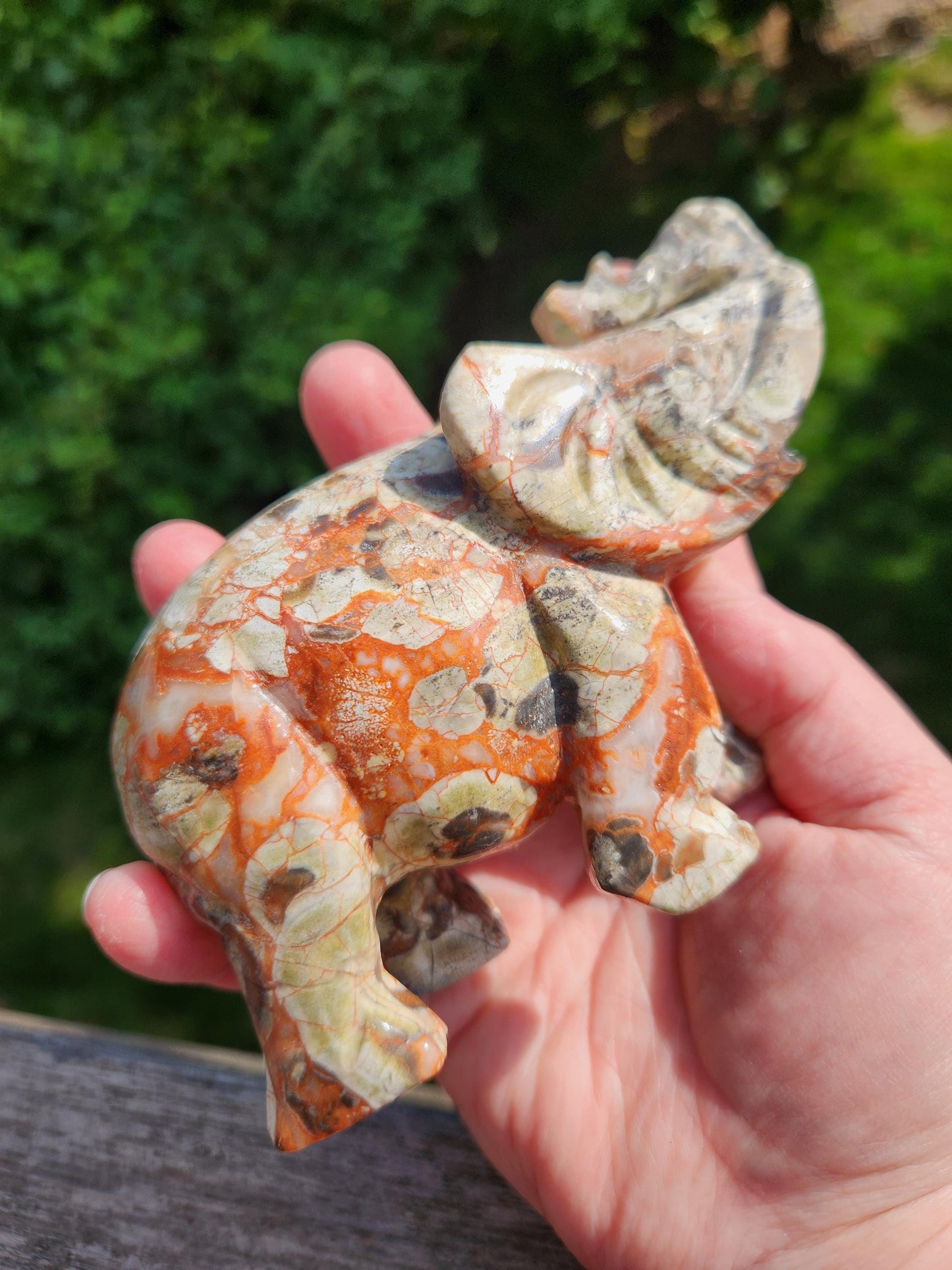 Carved Money Agate Elephant: High Polished Crystal Stone
