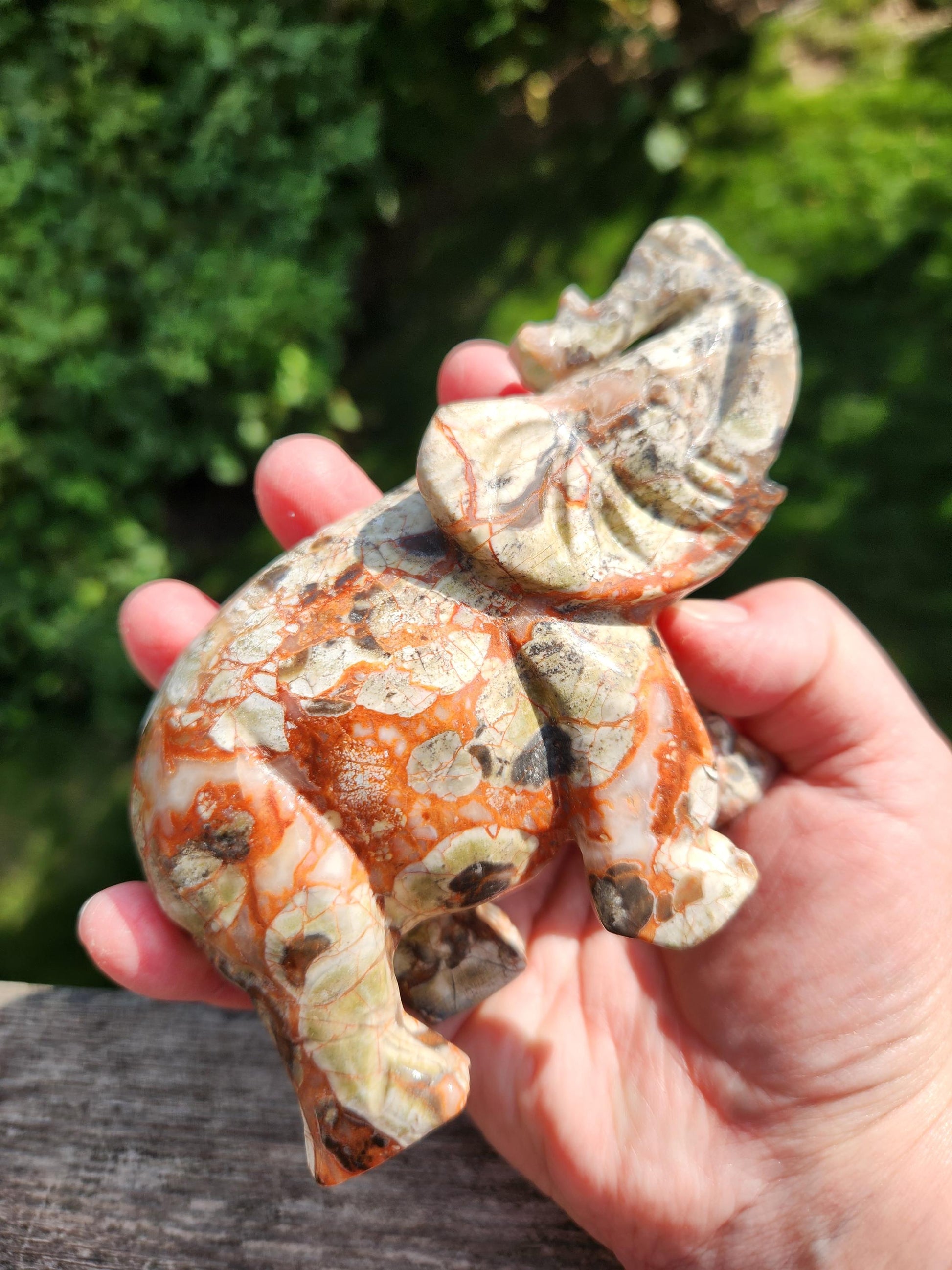 Carved Money Agate Elephant: High Polished Crystal Stone