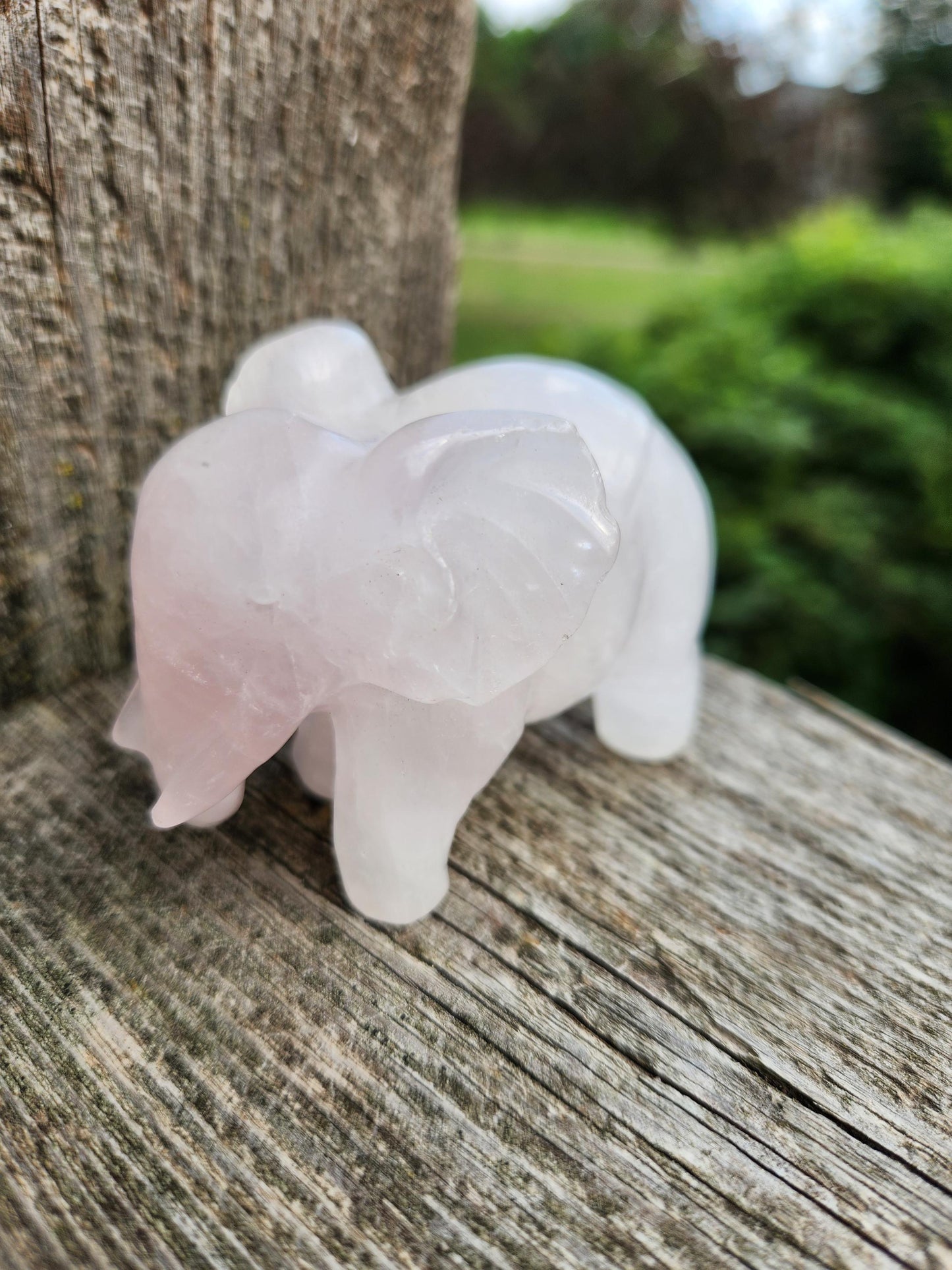 Rose Quartz Carved Elephant Crystal Stone