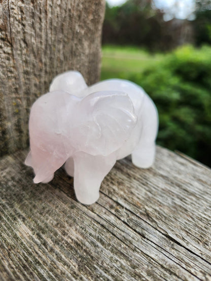 Rose Quartz Carved Elephant Crystal Stone