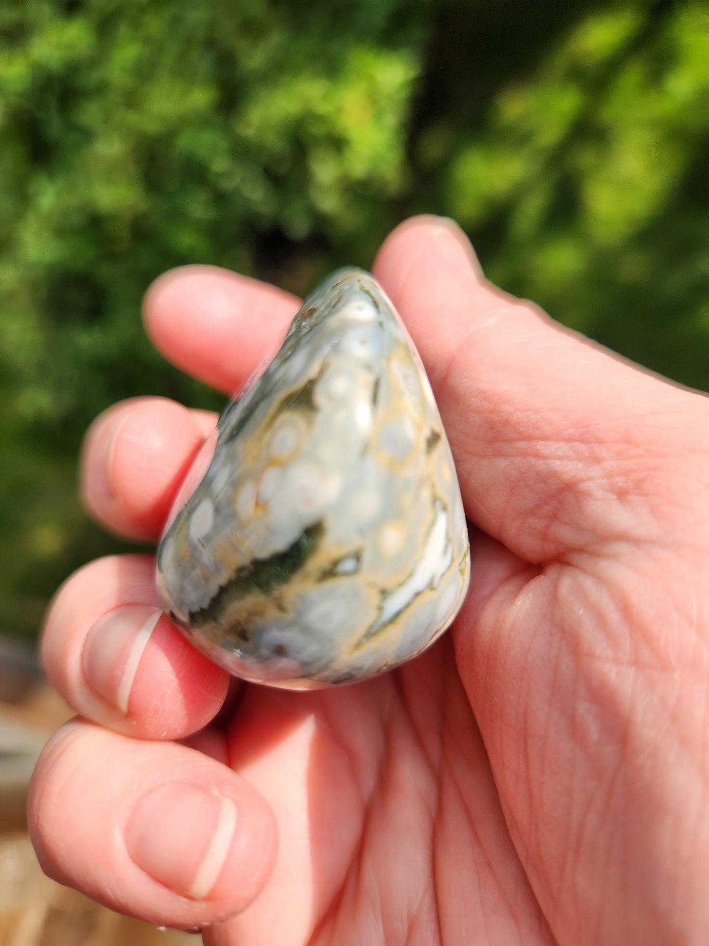 Orbicular Fossilized Coral Specimen, Ocean Jasper Polished Large Tumble Crystal