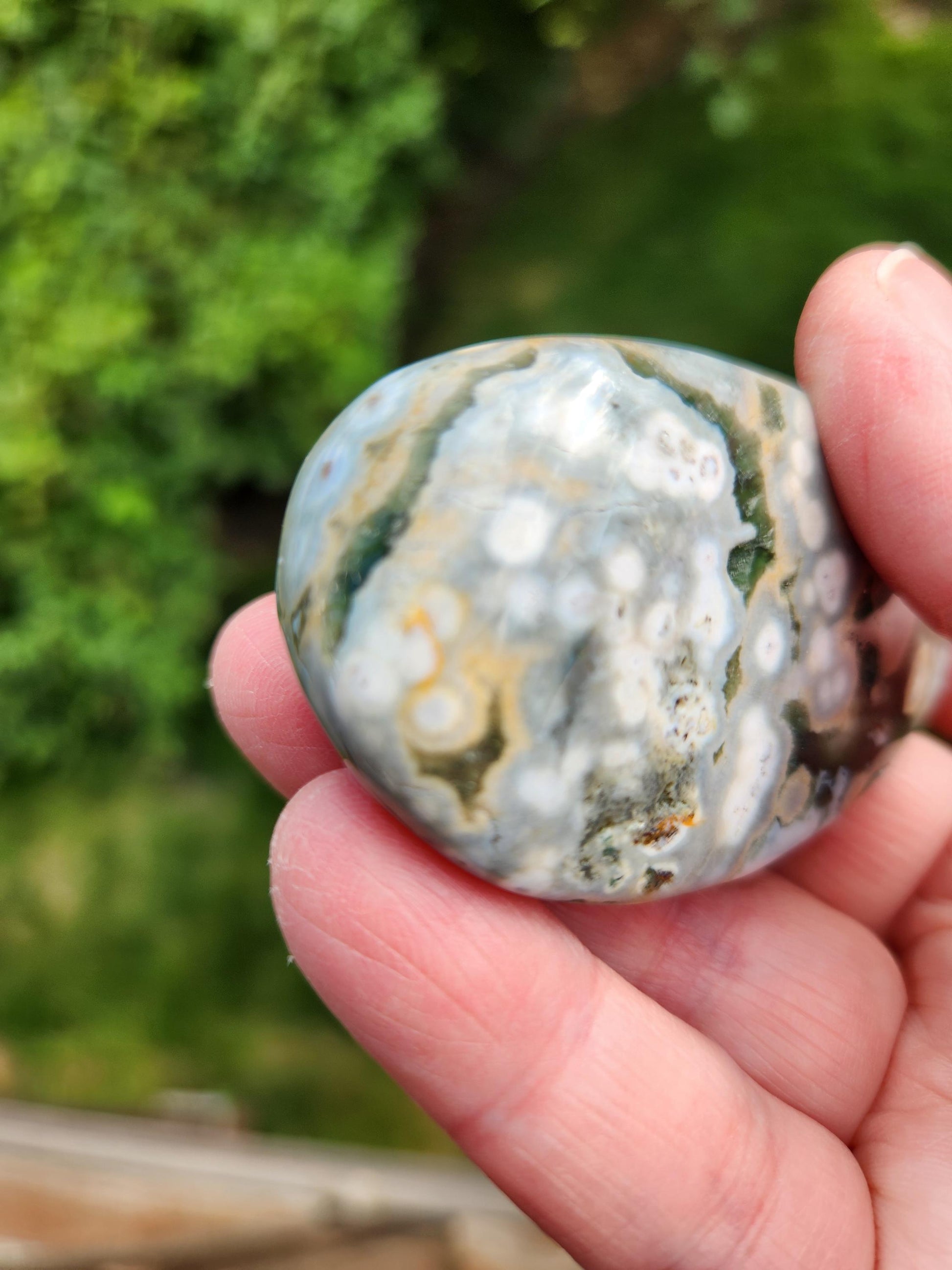 Orbicular Fossilized Coral Specimen, Ocean Jasper Polished Large Tumble Crystal