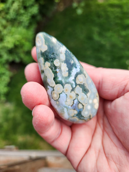Orbicular Fossilized Coral Specimen, Ocean Jasper Polished Large Tumble Crystal