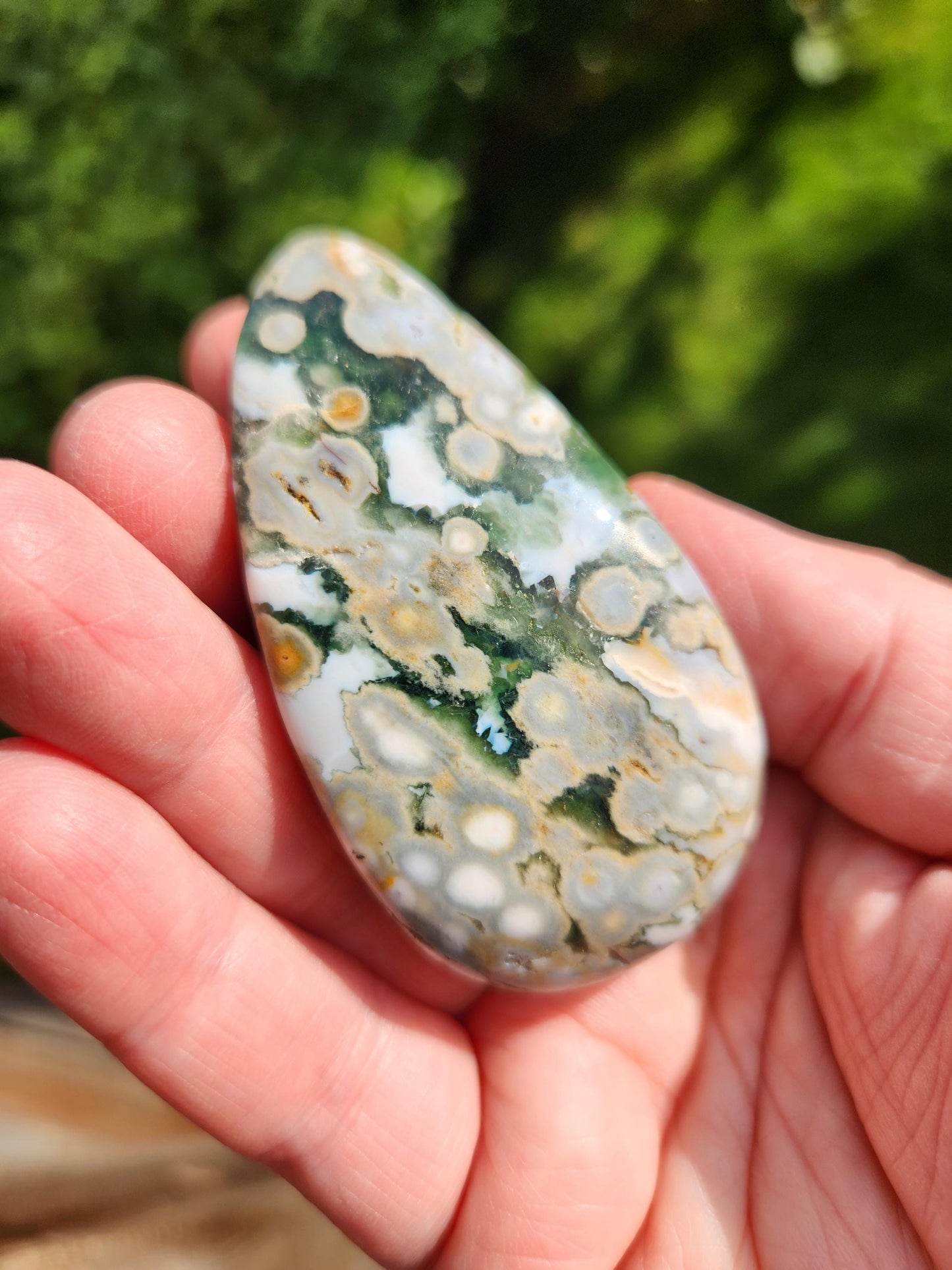 Orbicular Fossilized Coral Specimen, Ocean Jasper Polished Large Tumble Crystal