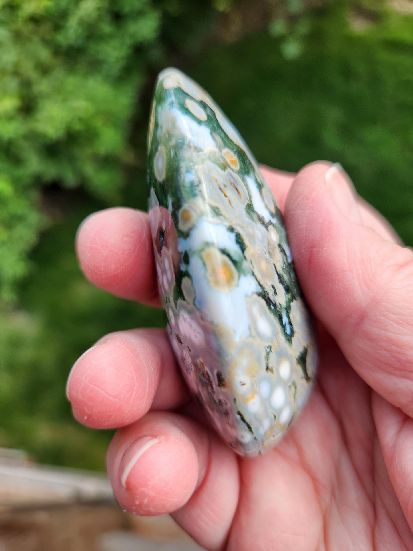 Orbicular Fossilized Coral Specimen, Ocean Jasper Polished Large Tumble Crystal
