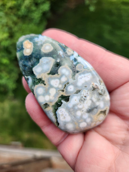 Orbicular Fossilized Coral Specimen, Ocean Jasper Polished Large Tumble Crystal