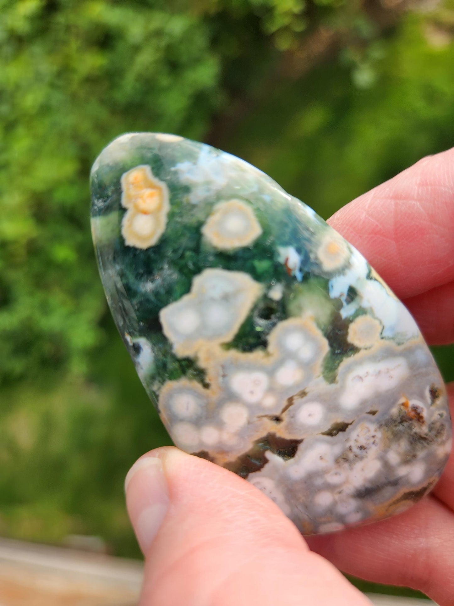 Orbicular Fossilized Coral Specimen, Ocean Jasper Polished Large Tumble Crystal