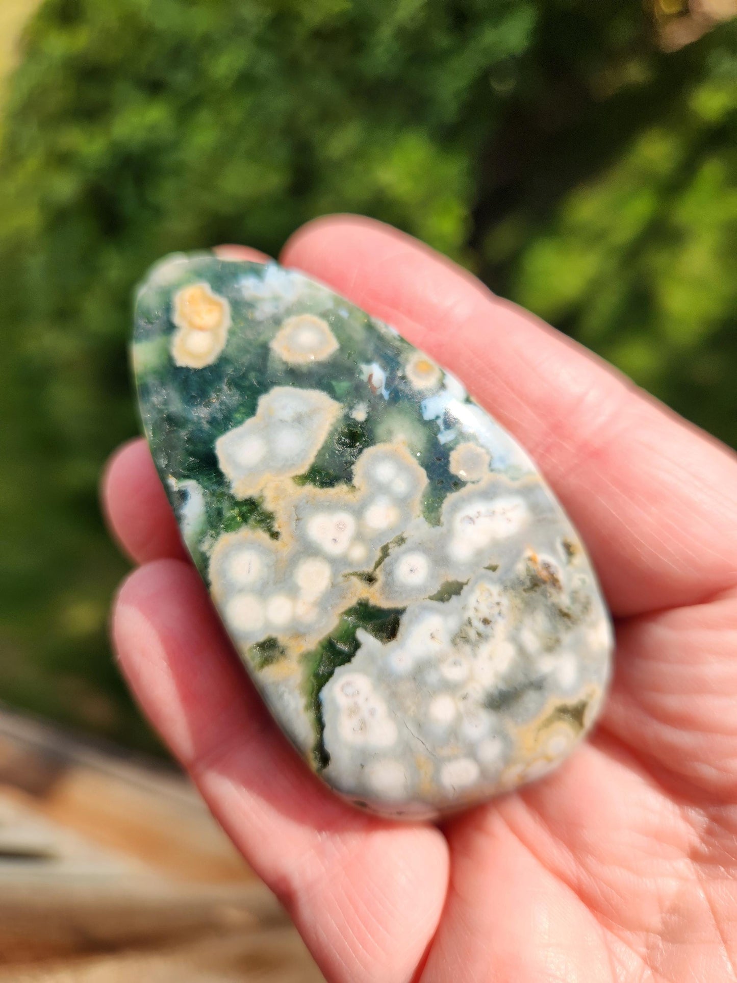 Orbicular Fossilized Coral Specimen, Ocean Jasper Polished Large Tumble Crystal