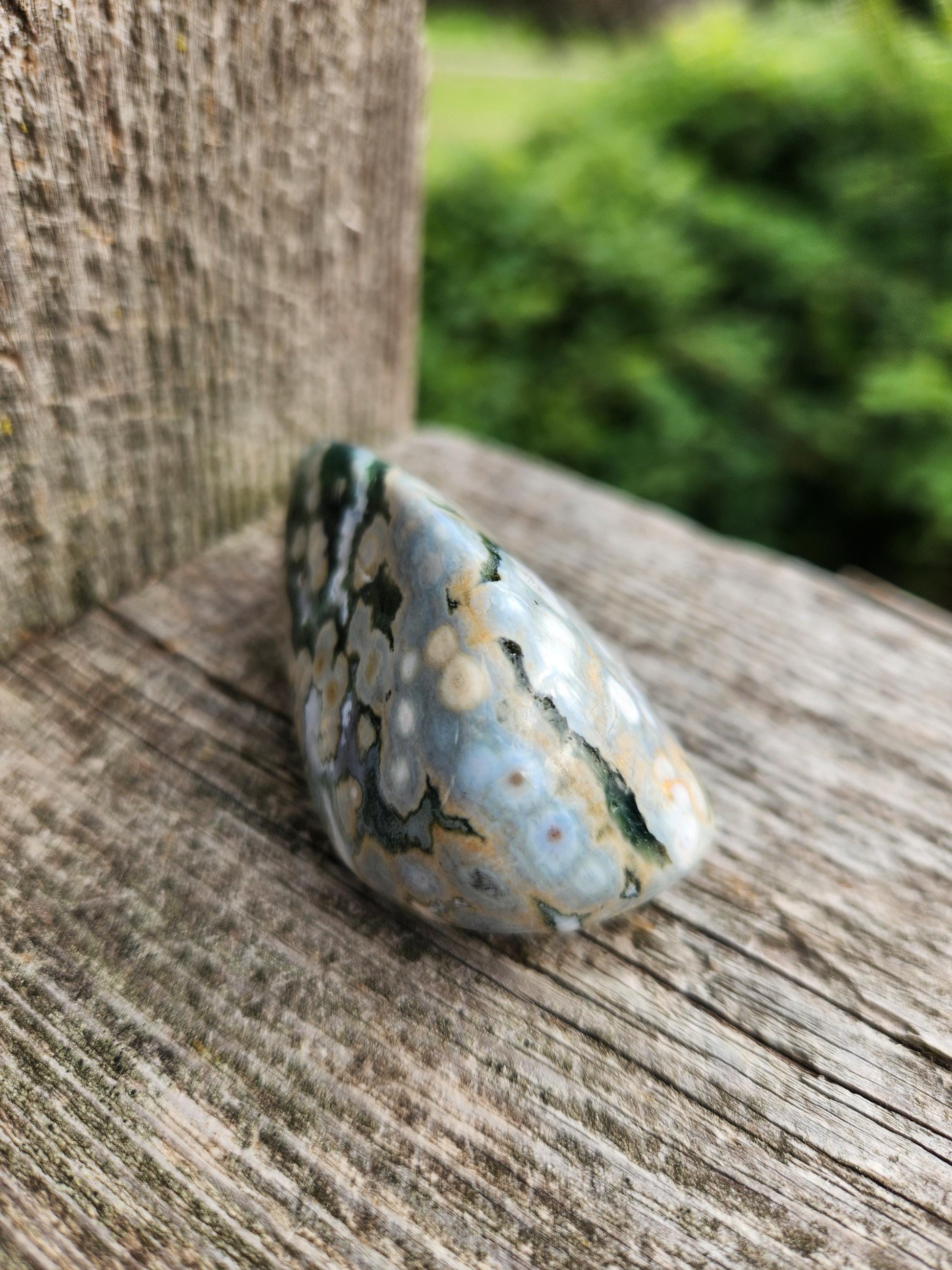 Orbicular Fossilized Coral Specimen, Ocean Jasper Polished Large Tumble Crystal