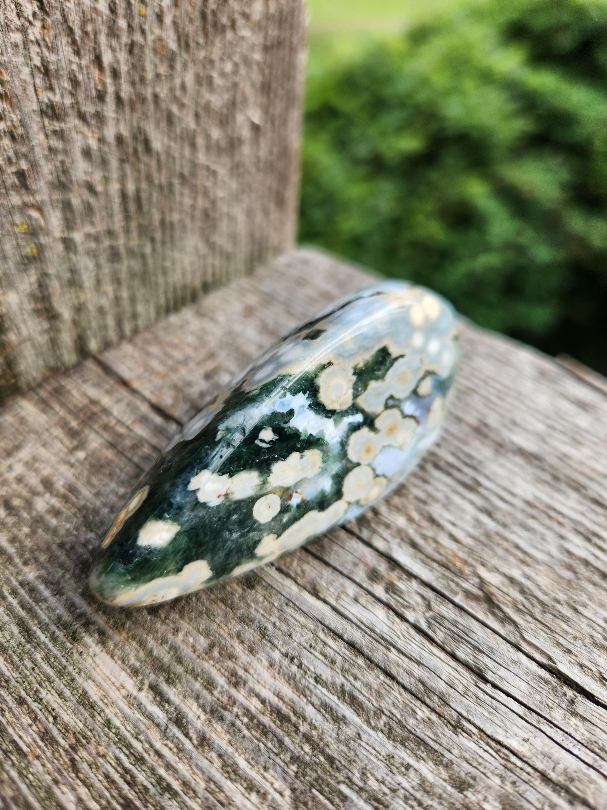 Orbicular Fossilized Coral Specimen, Ocean Jasper Polished Large Tumble Crystal
