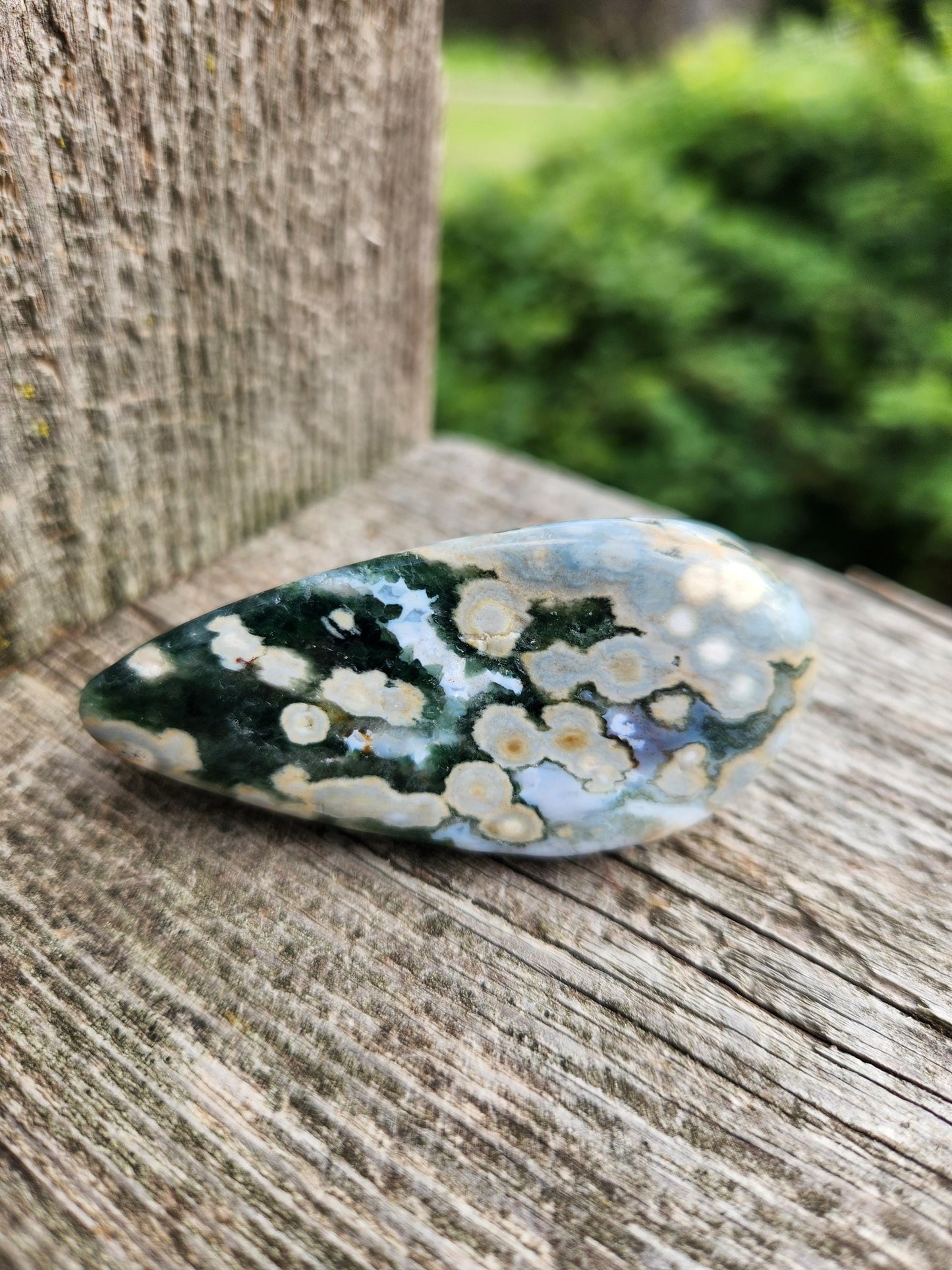 Orbicular Fossilized Coral Specimen, Ocean Jasper Polished Large Tumble Crystal
