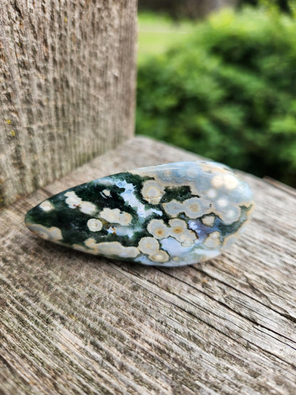 Orbicular Fossilized Coral Specimen, Ocean Jasper Polished Large Tumble Crystal