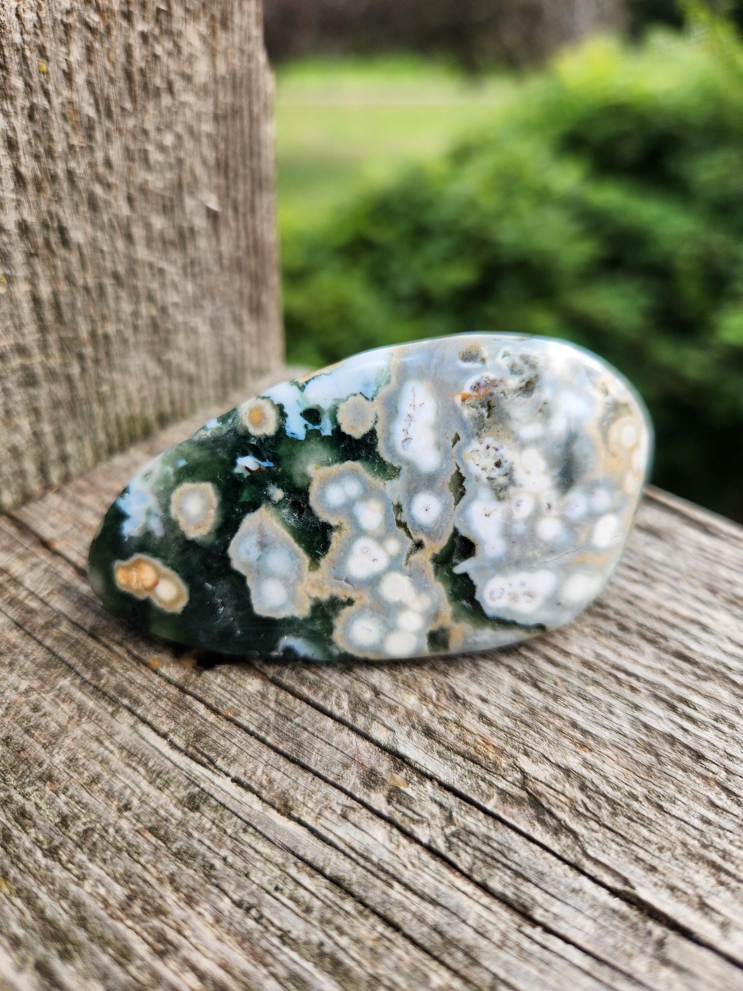Orbicular Fossilized Coral Specimen, Ocean Jasper Polished Large Tumble Crystal