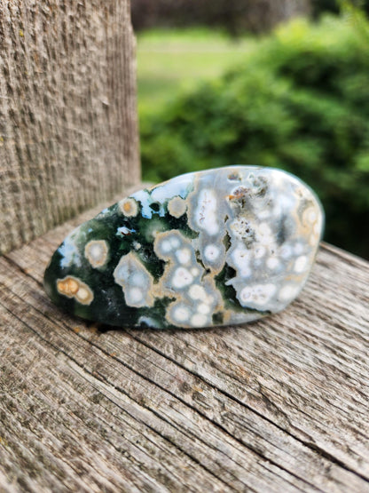 Orbicular Fossilized Coral Specimen, Ocean Jasper Polished Large Tumble Crystal
