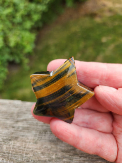 Polished Blue and Gold Tiger Eye Crystal Star: Pocket Palm Stone