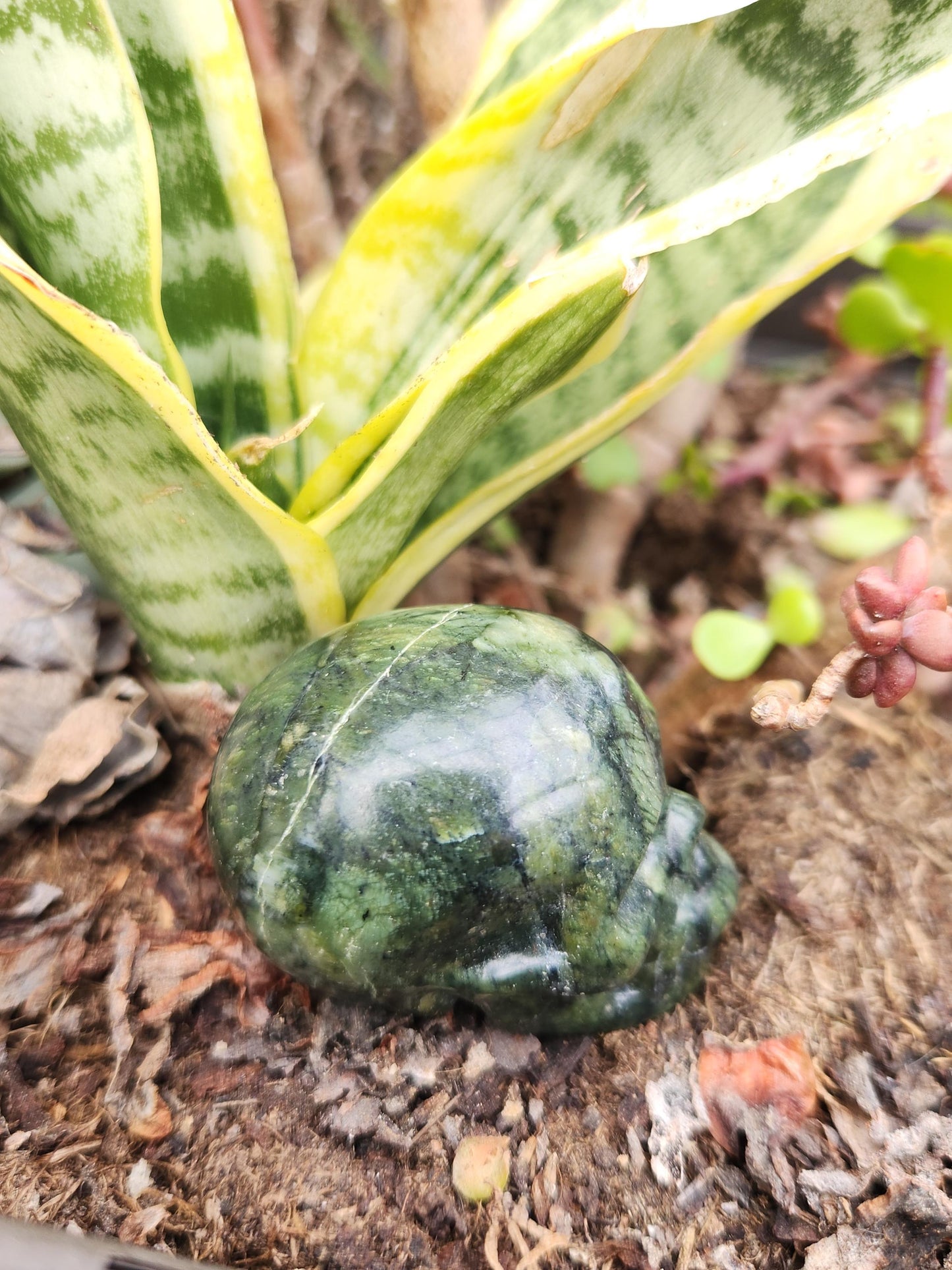 Dark Green Jade Crystal Skull