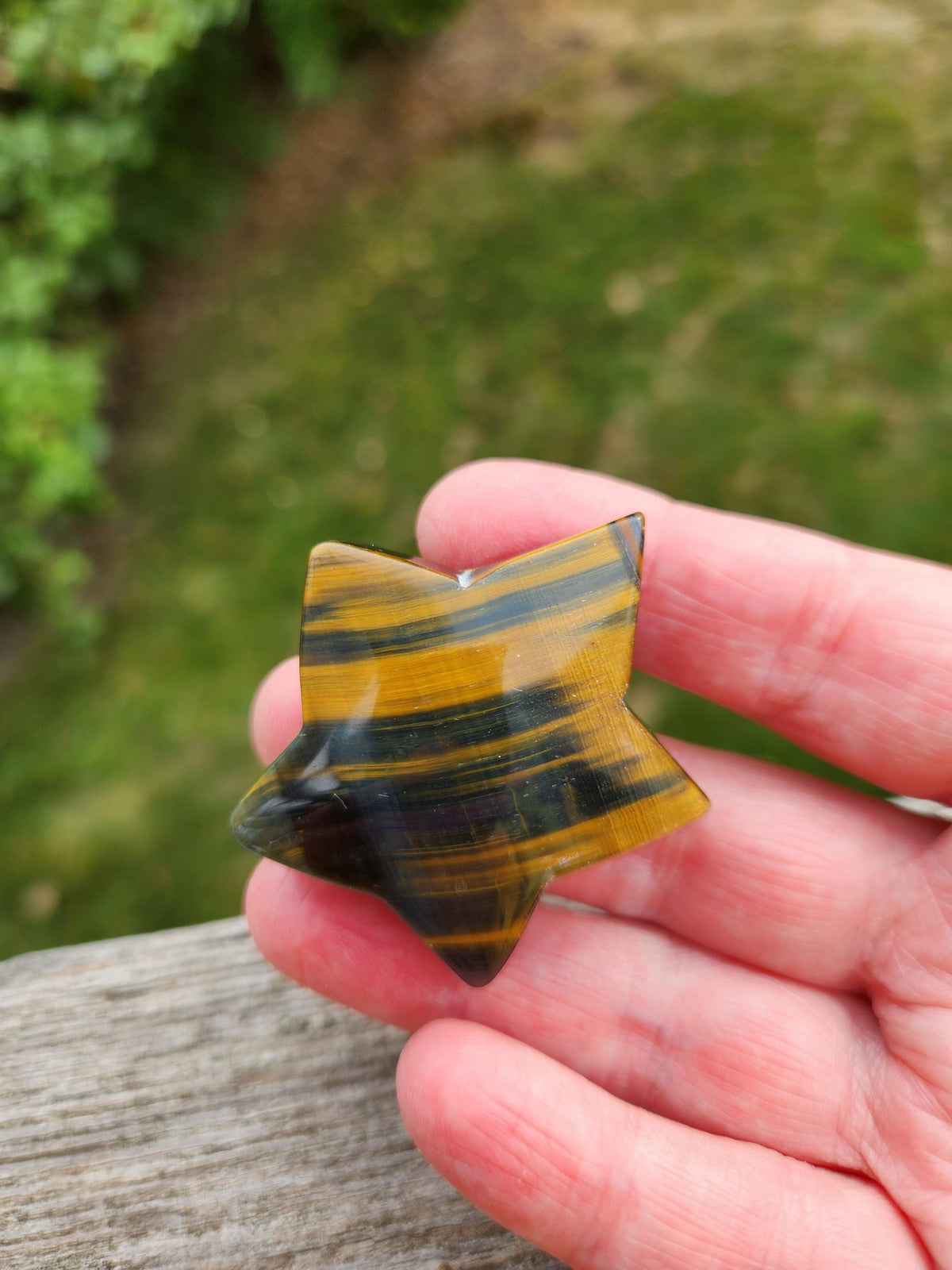 Polished Blue and Gold Tiger Eye Crystal Star: Pocket Palm Stone