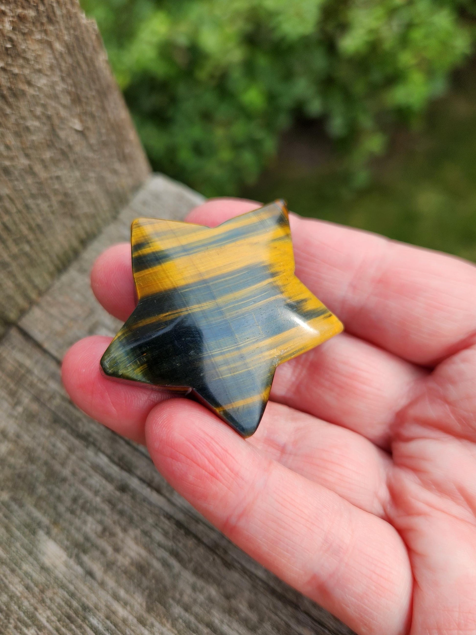 Polished Blue and Gold Tiger Eye Crystal Star: Pocket Palm Stone