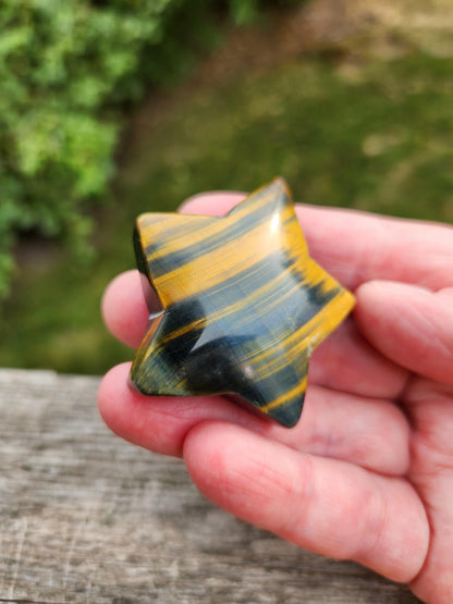 Polished Blue and Gold Tiger Eye Crystal Star: Pocket Palm Stone