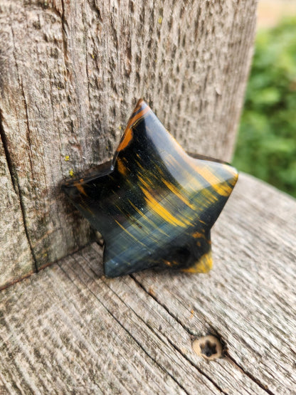 Polished Blue and Gold Tiger Eye Crystal Star: Pocket Palm Stone
