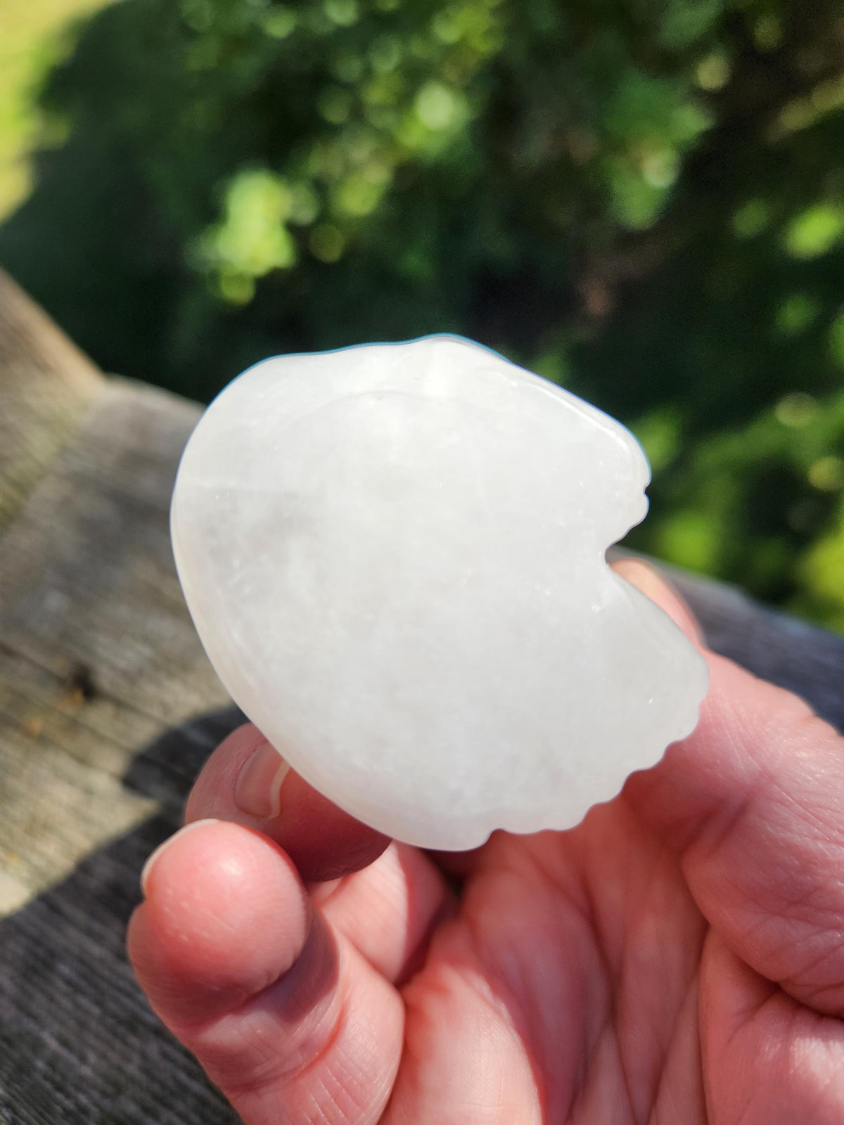 Carved Clear Quartz Jasper Howling Wolf Crystal with Golden Healer Inclusions, All Natural Crystal