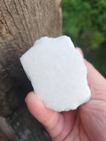 Carved White Calcite Howling Wolf with Moon Crystal, All Natural Crystal