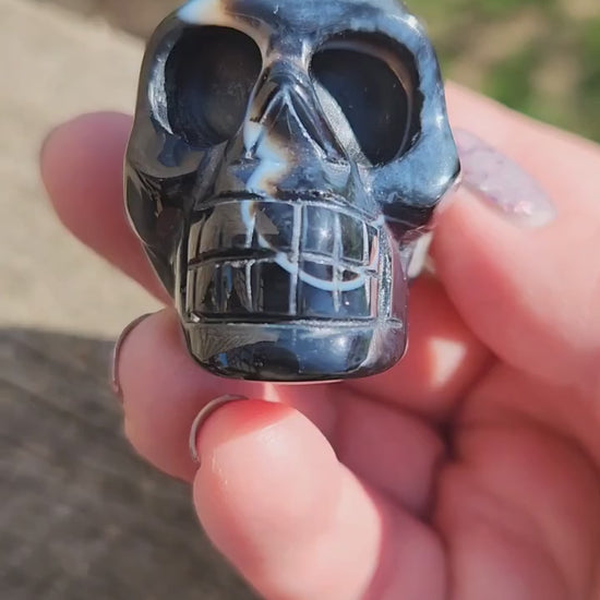 Beautiful AAA High Quality Black Onyx Crystal Unique Skull