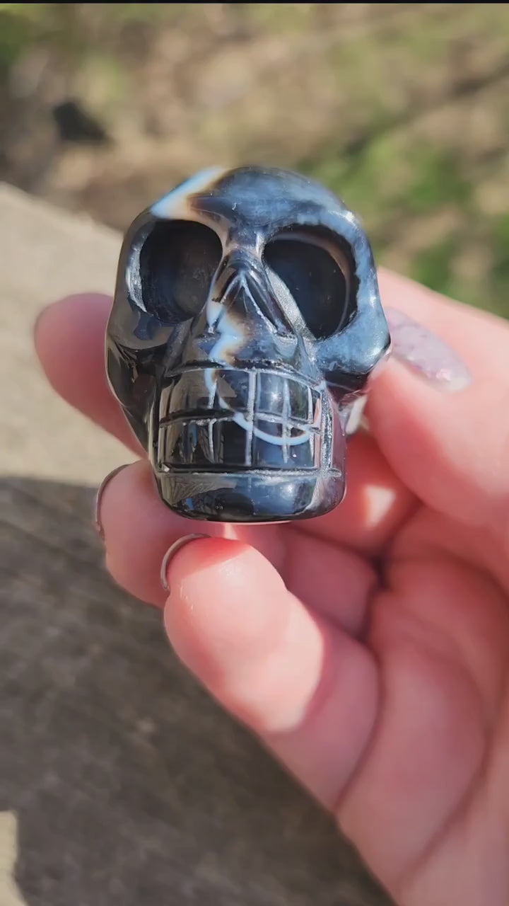 Beautiful AAA High Quality Black Onyx Crystal Unique Skull