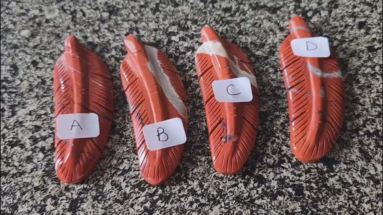 Beautiful Carved Red Jasper Feather with Unique Veins, All Natural Crystal, One