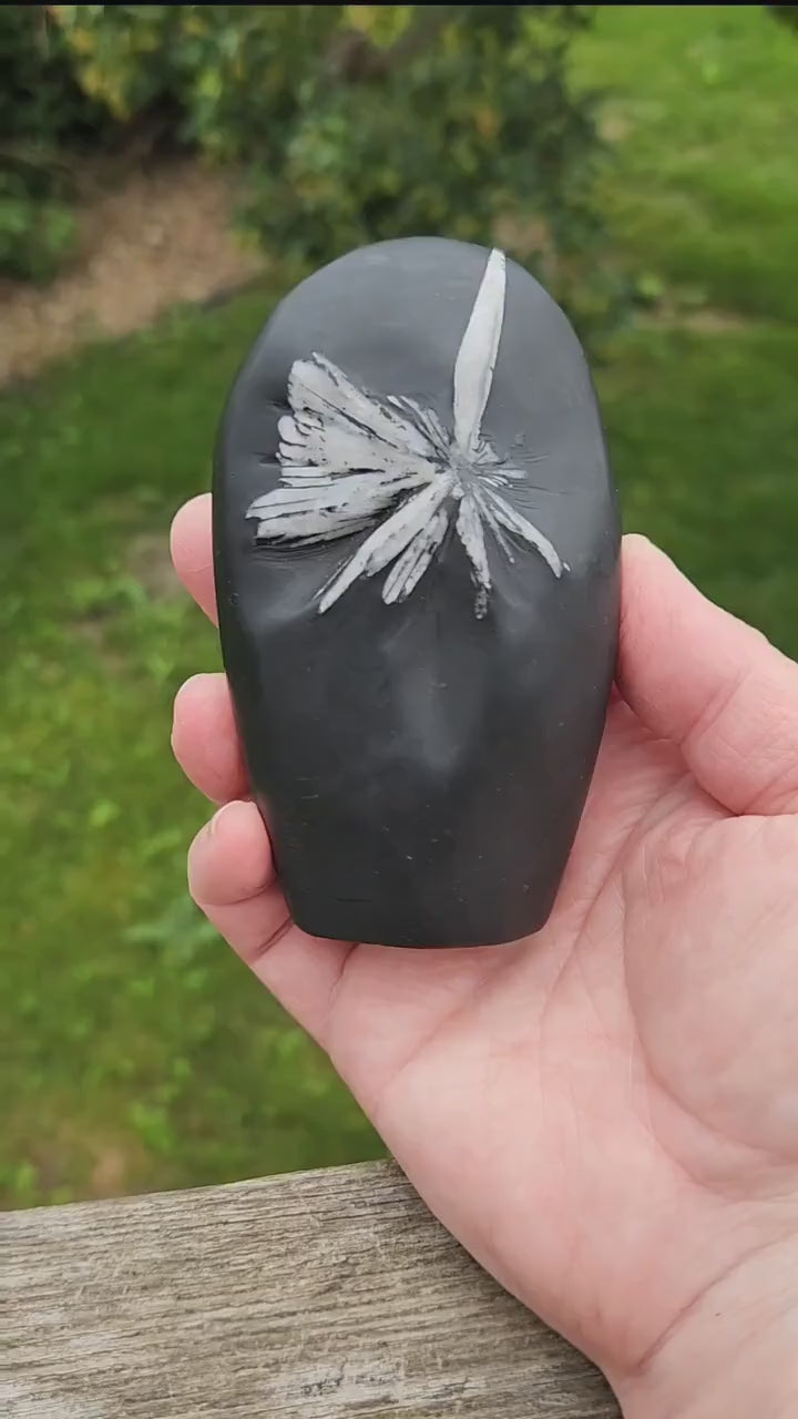 Beautifully Smooth Chrysanthemum Stone Crystal Free Form