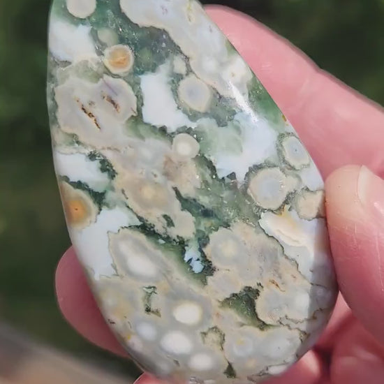 Orbicular Fossilized Coral Specimen, Ocean Jasper Polished Large Tumble Crystal