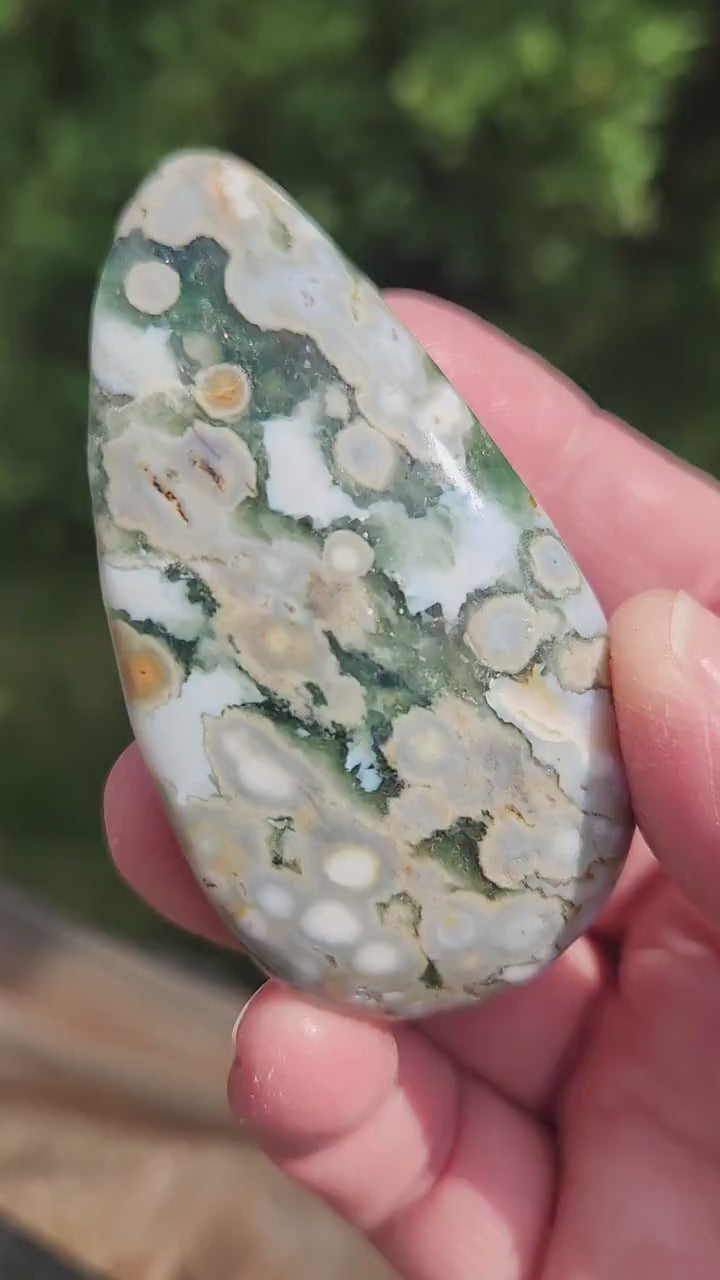Orbicular Fossilized Coral Specimen, Ocean Jasper Polished Large Tumble Crystal