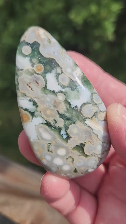 Orbicular Fossilized Coral Specimen, Ocean Jasper Polished Large Tumble Crystal