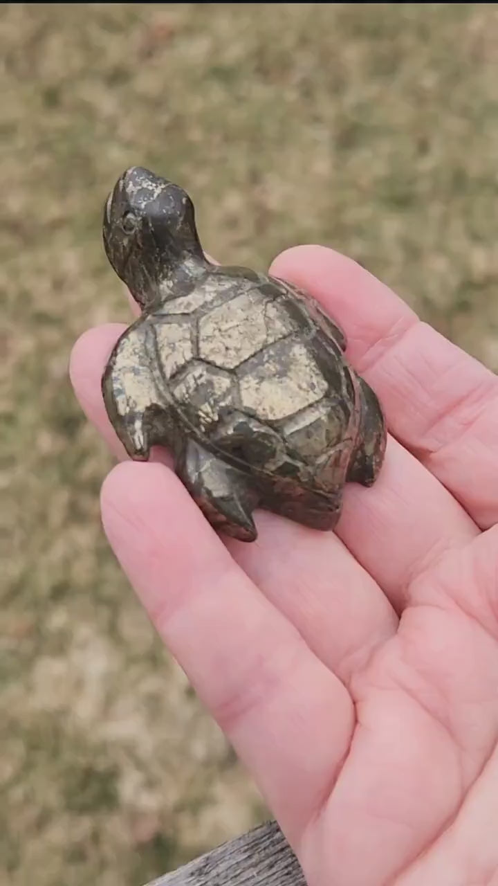 Pyrite Turtle Crystal Carving