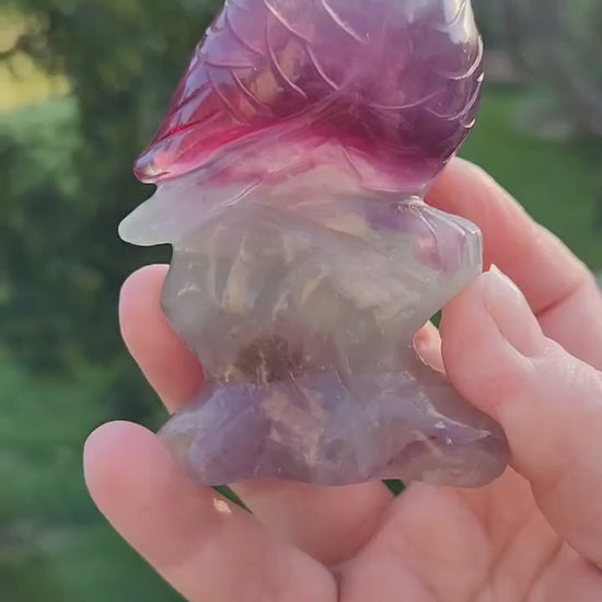 Beautiful Carved Candy Fluorite Crystal Owl Natural Stone, So Colorful, Unique