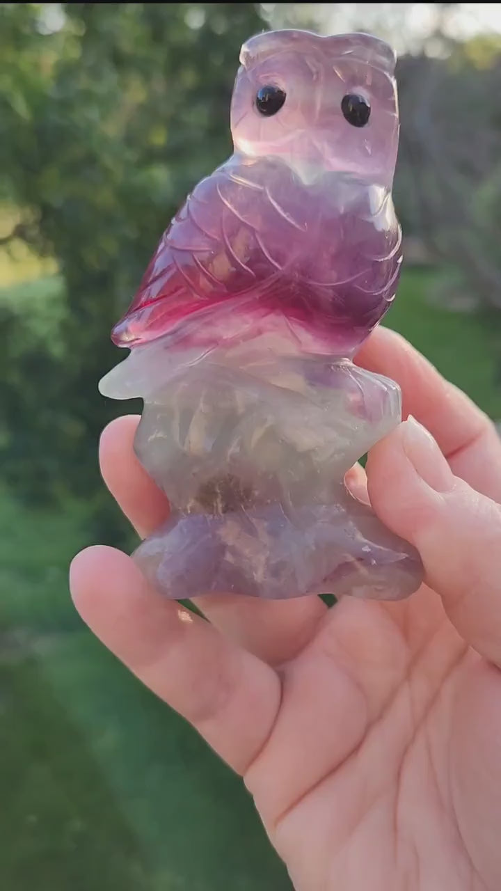 Beautiful Carved Candy Fluorite Crystal Owl Natural Stone, So Colorful, Unique