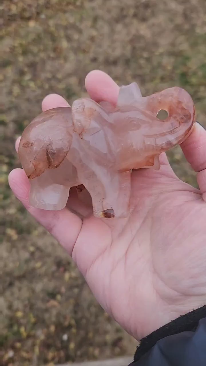 Beautiful Fire Quartz Carved Elephant Crystal Stone Medium