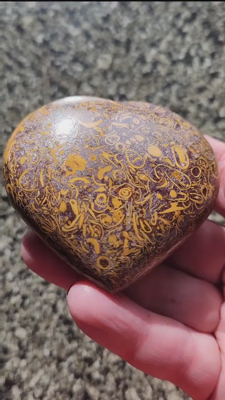 Polished Sanskrit Jasper Crystal Heart: Rare