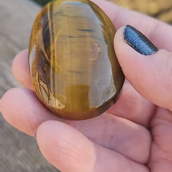 Beautiful Juicy Tigers Eye Palm with Flash Stone Natural Crystal