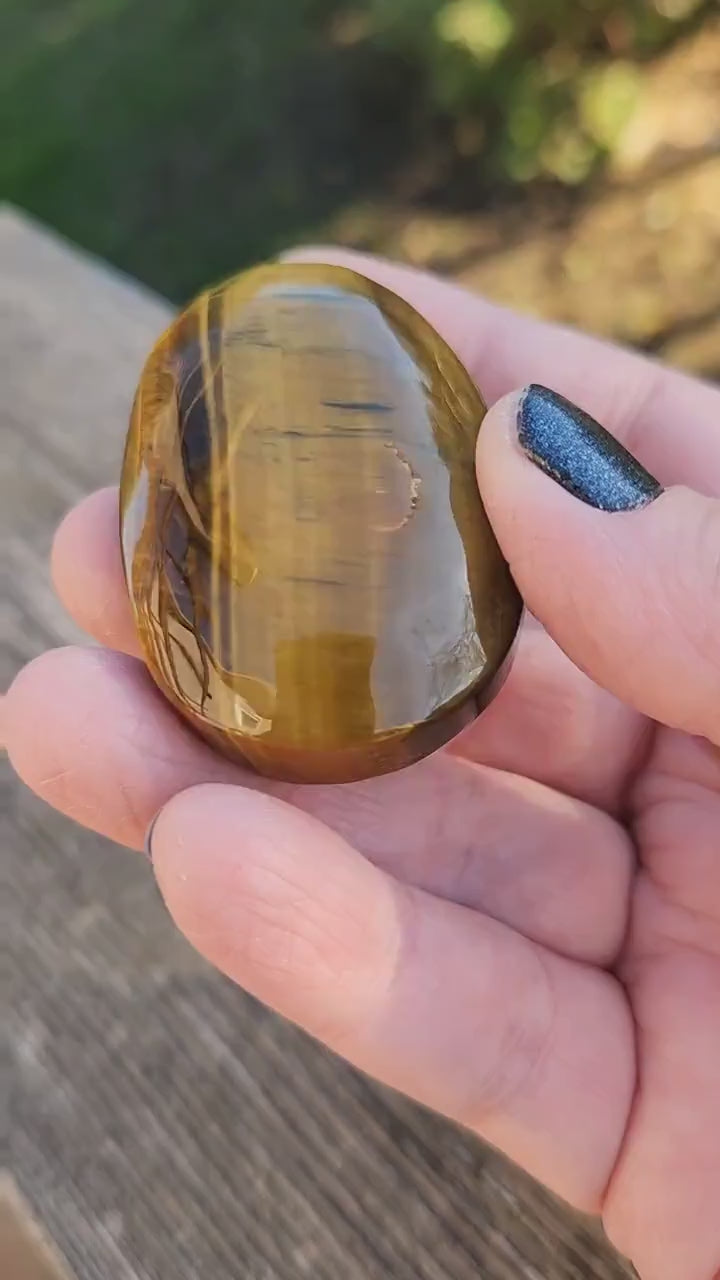 Beautiful Juicy Tigers Eye Palm with Flash Stone Natural Crystal