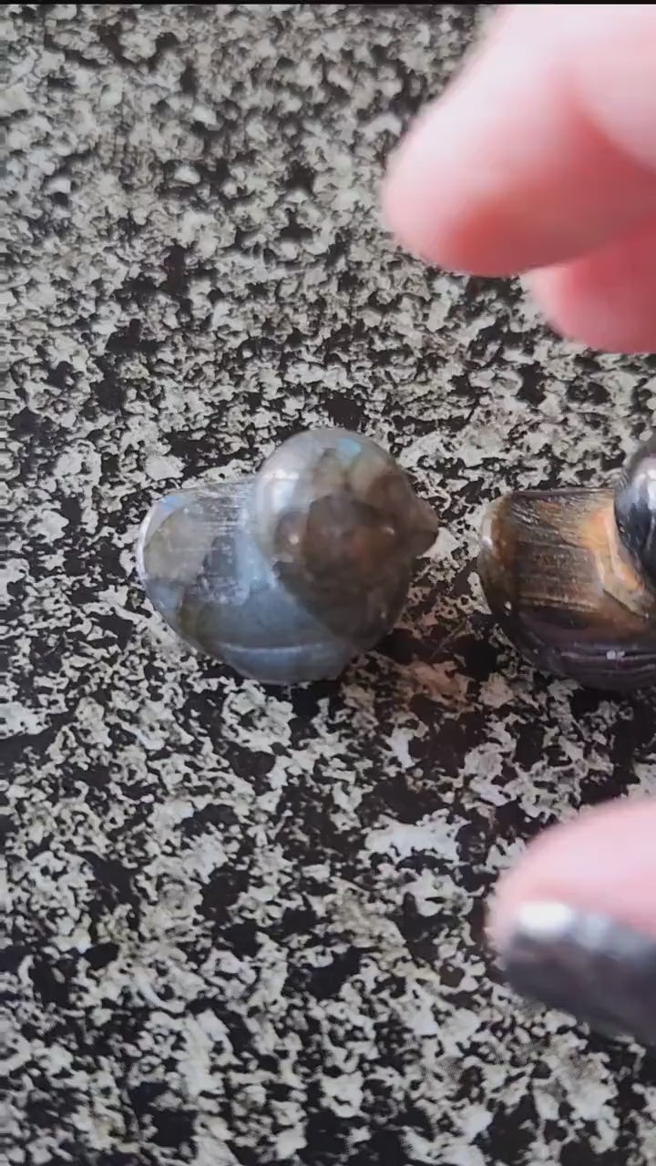 Carved Mini Duck Crystal Stone: Various Stone, One