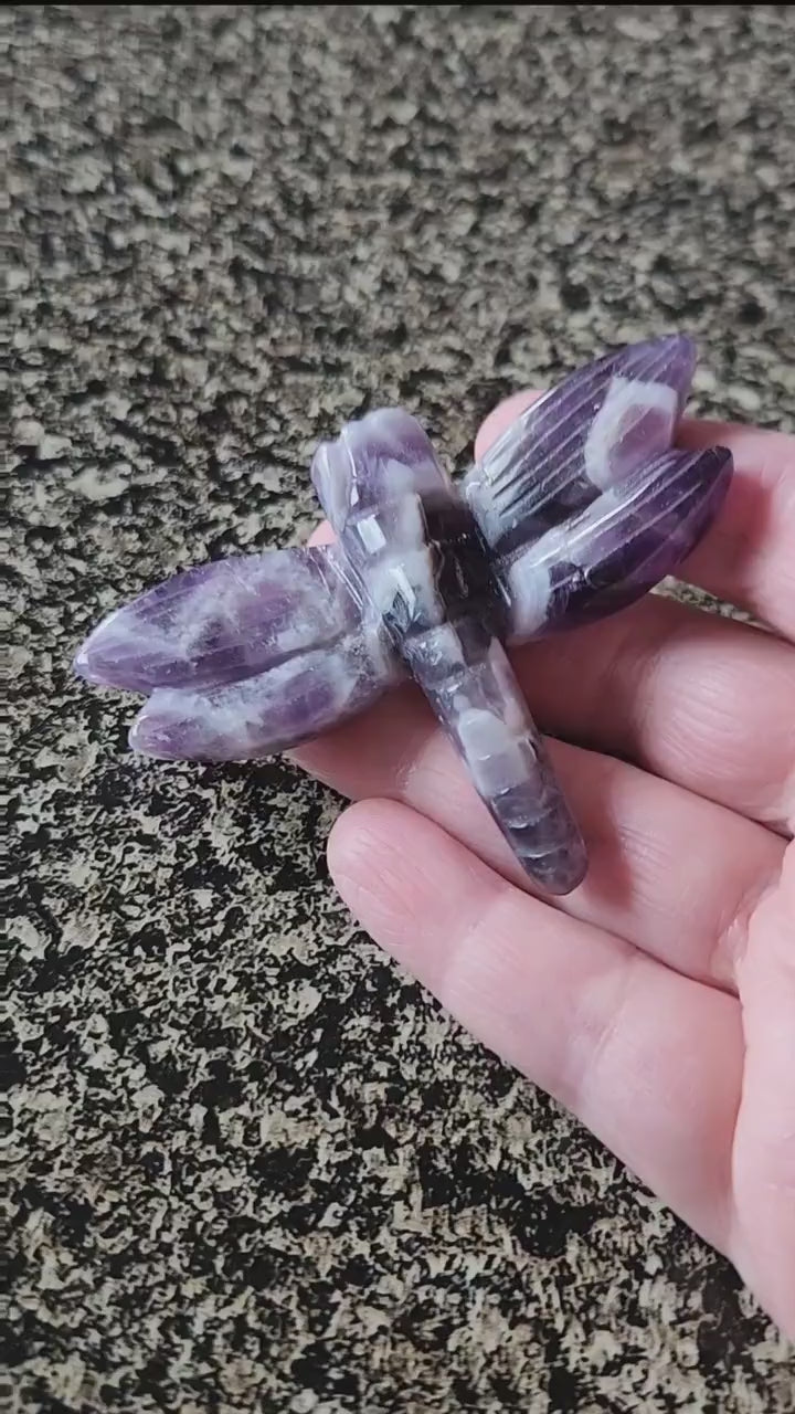 Cute AAA Dream Amethyst Unique Crystal Dragonfly