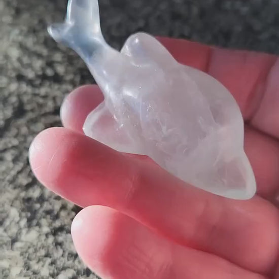 Mini Light Green Fluorite Dolphin Crystal Carving - High Polish