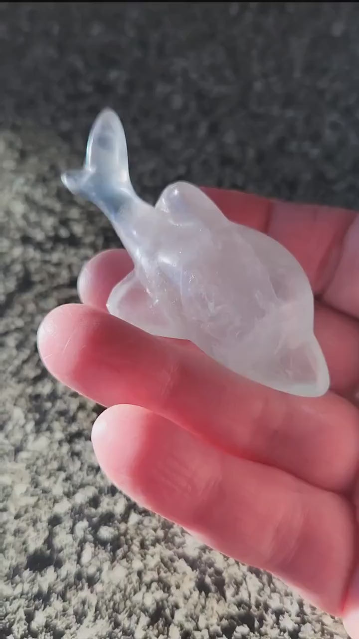 Mini Light Green Fluorite Dolphin Crystal Carving - High Polish